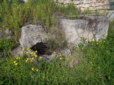 Scendendo nel campo incrociamo subito sulla nostra sinistra la bocca di un�antica cisterna in pietra ormai priva di acqua ma piena di sporcizia